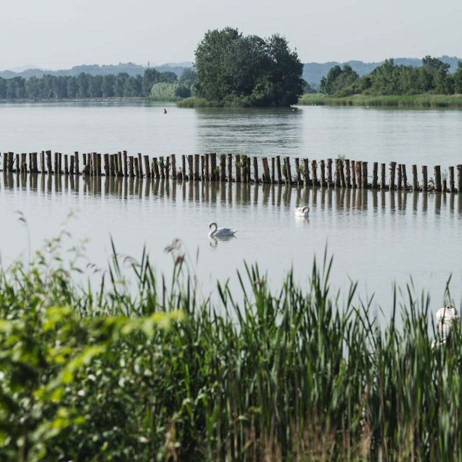 Ptuj Lake